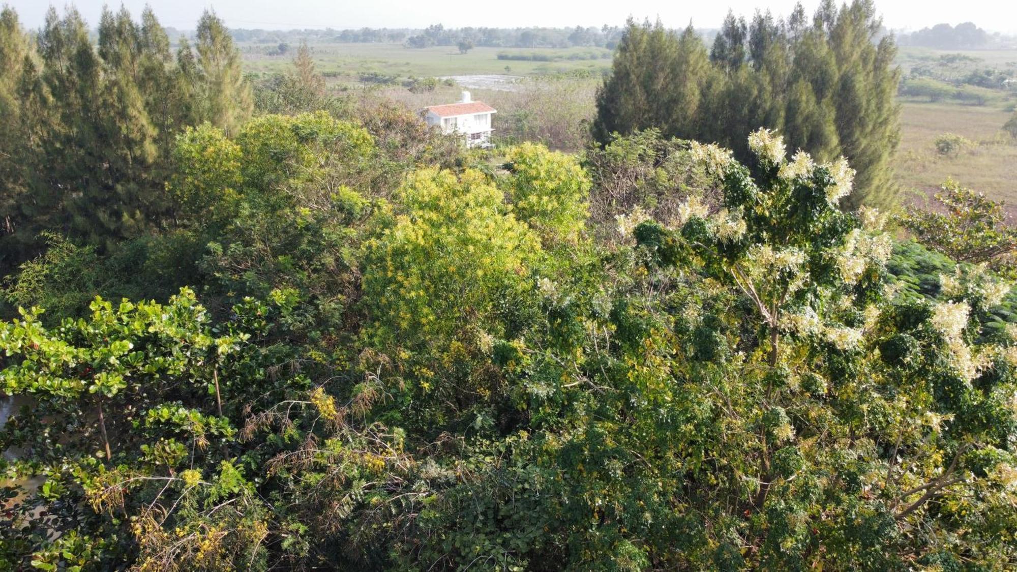 Vaksana Farm Stay Gudraippattu Exterior foto